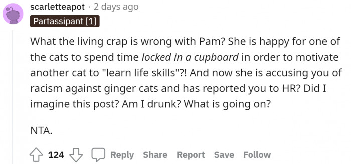 Pam is a racist instead; she locks up one cat for another!
