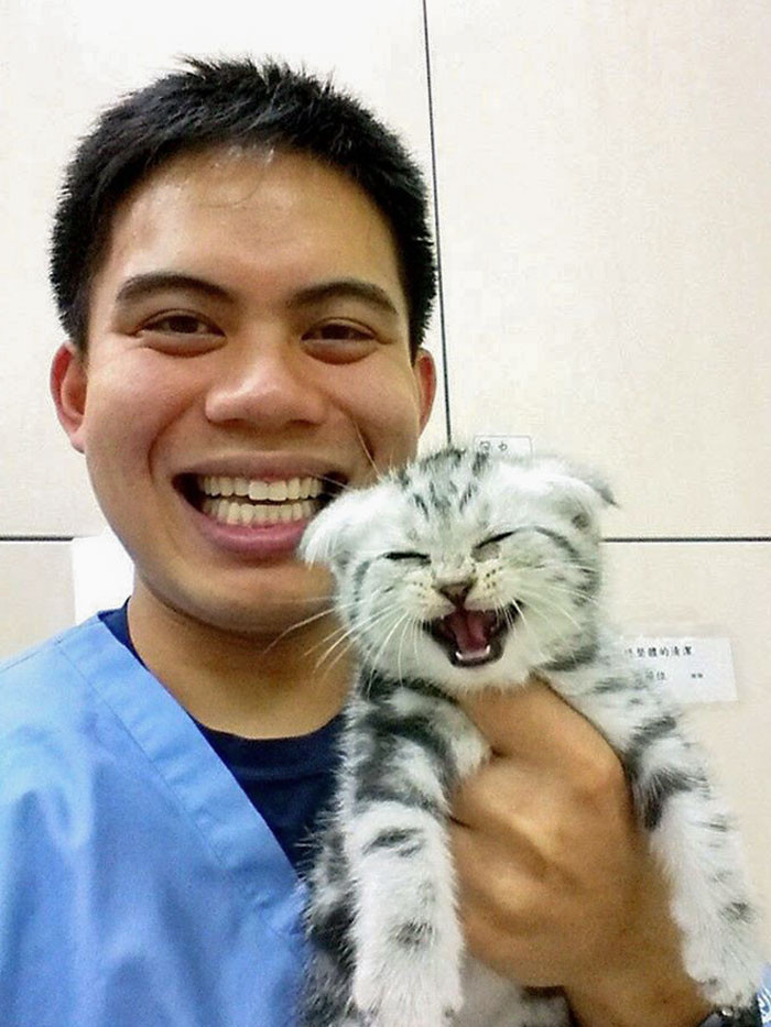 The little kitten is equally happy that he’s doing his internship very well