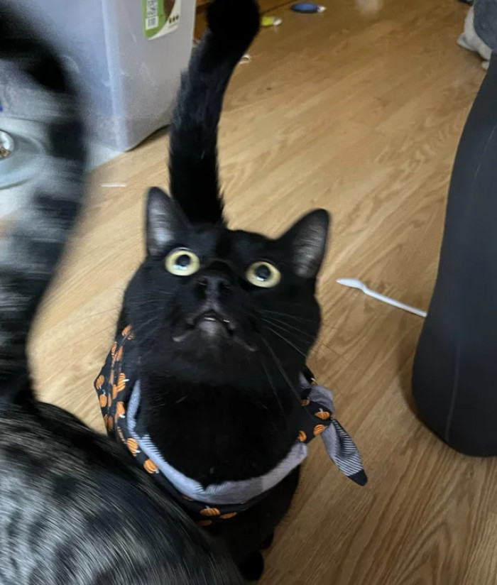 5. The mothership came too early