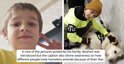 Boy Gets Attention Online After Neighbor Posts A Video Of Him Hugging Stray Dogs On His Way To School