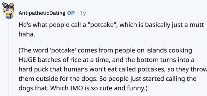 Potcake honorary member