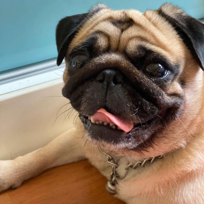 Finally, another package arrived for June. Kaijeaw was overjoyed, but that didn't last long when she realized it was a different deliveryman dropping it off.
