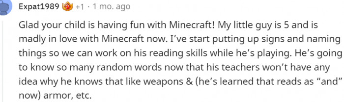 22. My kid loves Minecraft too