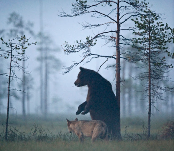 Extraordinary photo, extraordinary friendship