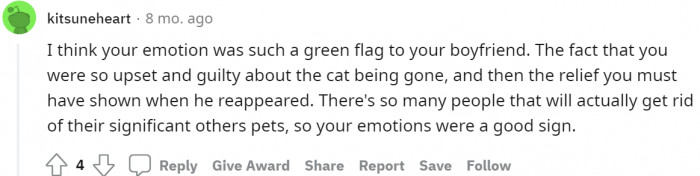 #20 A perfect partner for a pet lover.