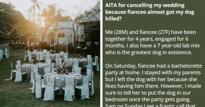 Bachelorette Party Goes Horribly Wrong After The Groom's Dog Is Poisoned By Alcohol And Chocolate Edibles