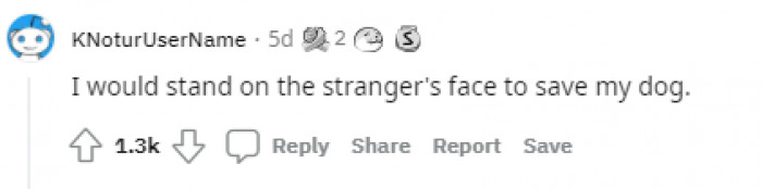 11. Sounds like a good one