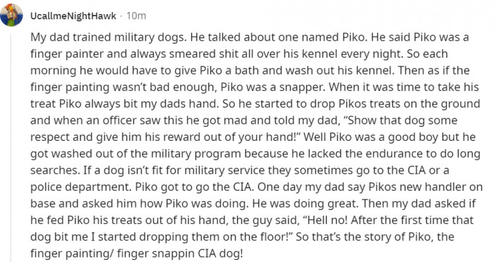 19. Pico, the CIA dog