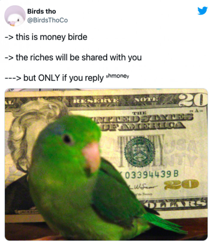 1. Don't ask questions, just do what the money bird says
