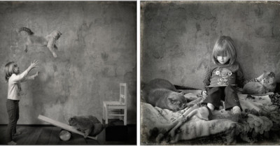 Russian Photographer's Heartwarming Pictures Of His Daughter With Her Cats Are Sure To Melt Your Heart