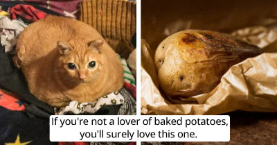 15 Pictures Of Adorably Delicious Cats That Look Like Meals You Would Love To Have Everyday