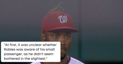 Praying Mantis Chills On Baseball Player's Head During Game