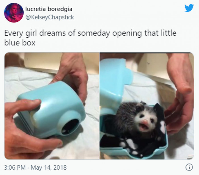 2. Don't be a possum-ist