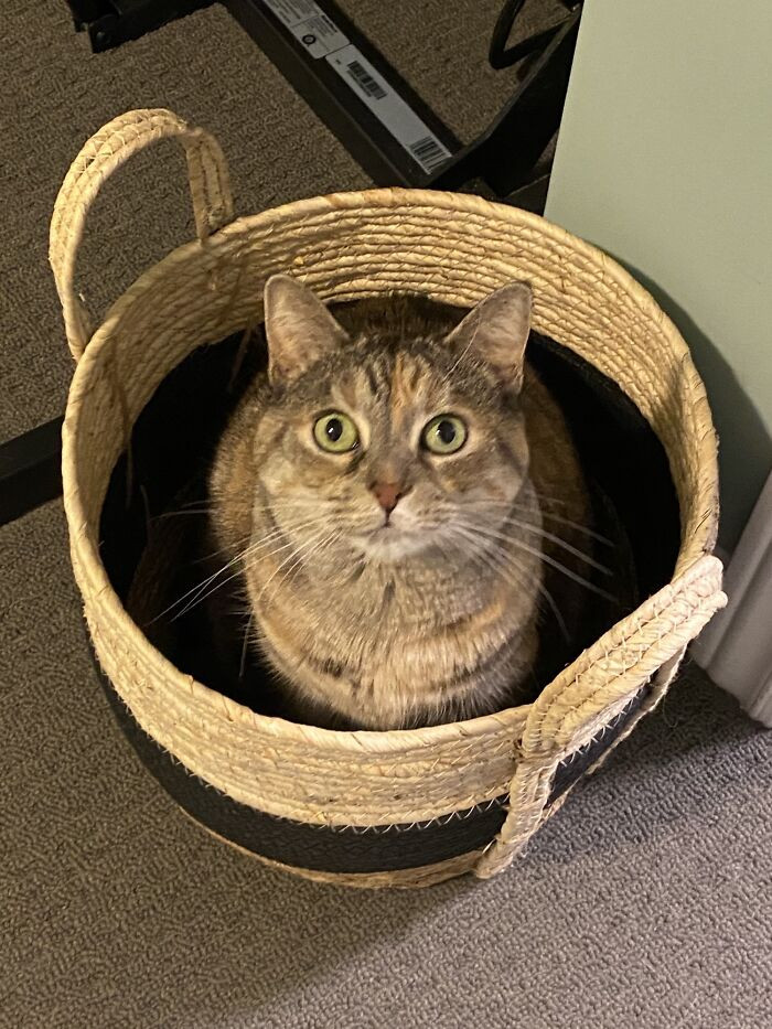 50. She likes her new bed