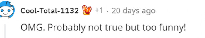 22. Not True but Definitely Funny