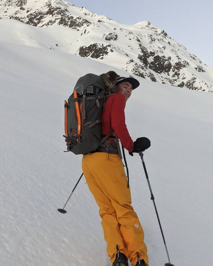 As they had planned to ski down the other side of the mountain, they offloaded the cat to some other hikers to take her back down.