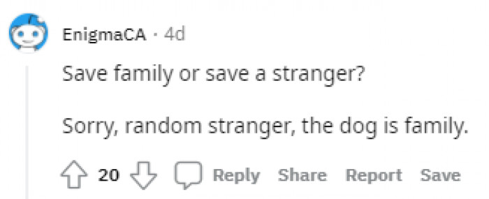Person hesitates between saving a drowning stranger or their dog