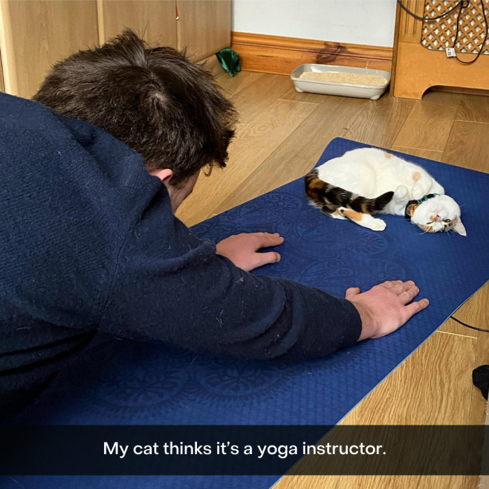19. Not to be dramatic, but cats would actually make very, very good yoga instructors (because of the noodle bones).