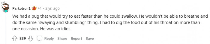 The dog experienced the same thing as Buster.