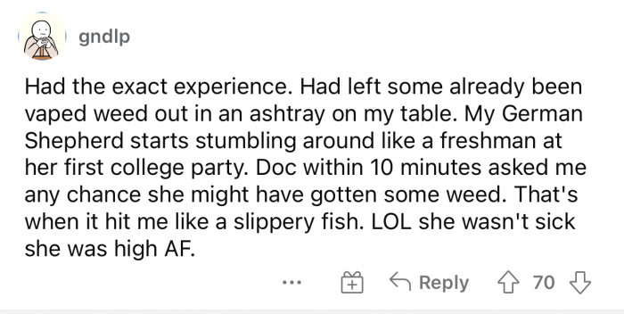 The same experience happened to this user, but with their dog.