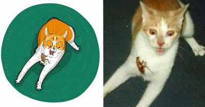 Tactooncat Recreates Some Of The Funniest Cat Pictures On The Internet