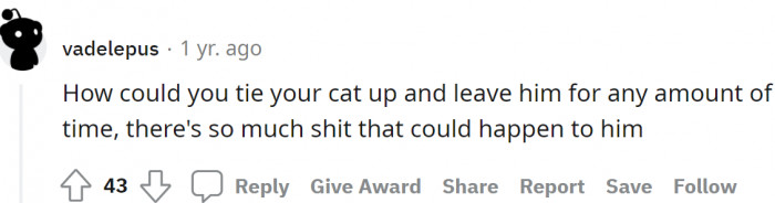 One called the owner's attention for leaving his cat outside and tying him up.