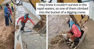 A Group of Construction Workers Save a Drowning Puppy from a Canal