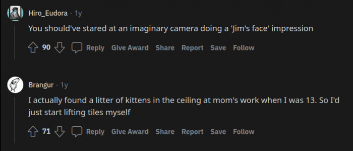 Anything for the imaginary cats.