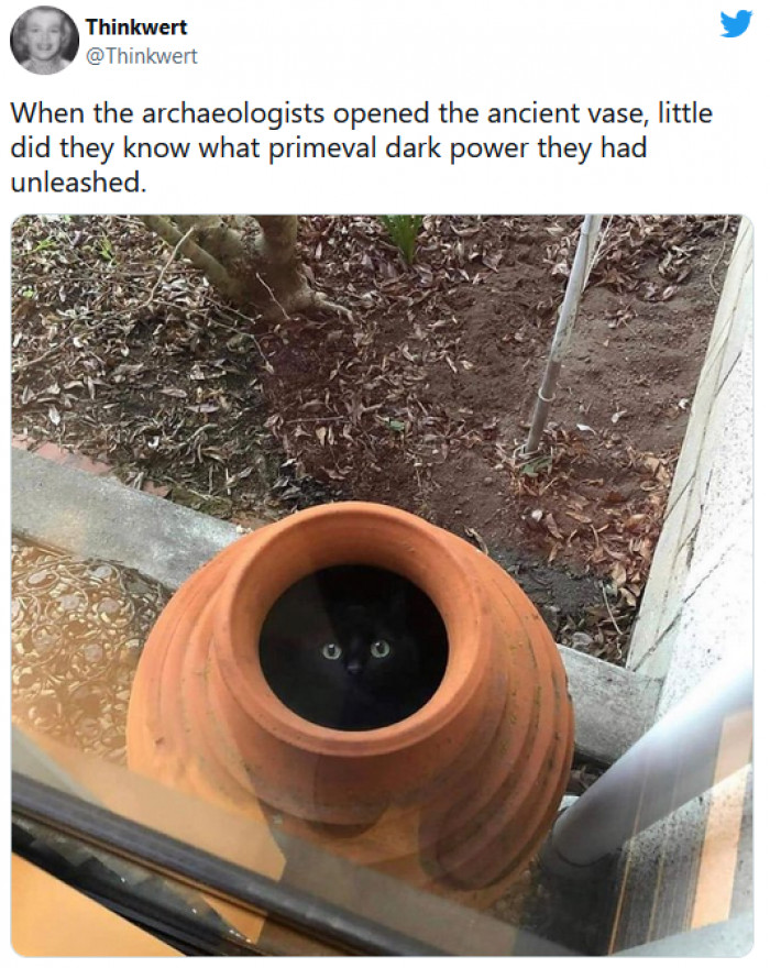 10. When they unearthed this vase, they had no idea what they were in for!