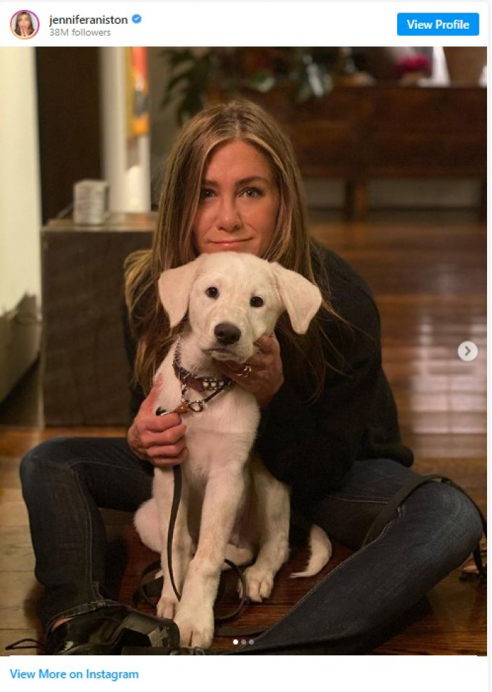 9. Jennifer Aniston and Lord Chesterfield.