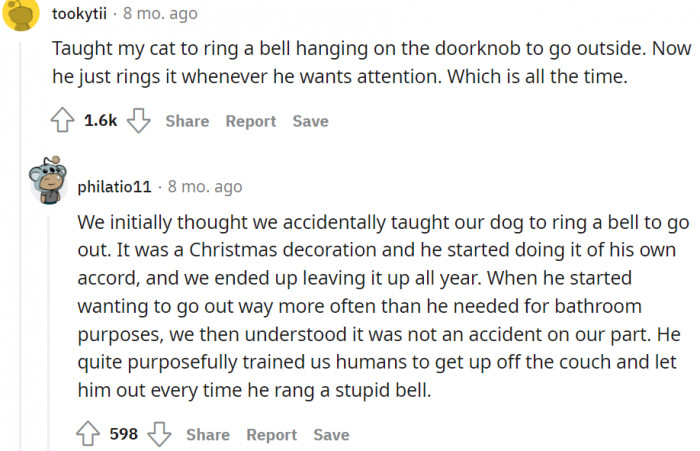 The cat rings the bell whenever he wants attention—at all times!