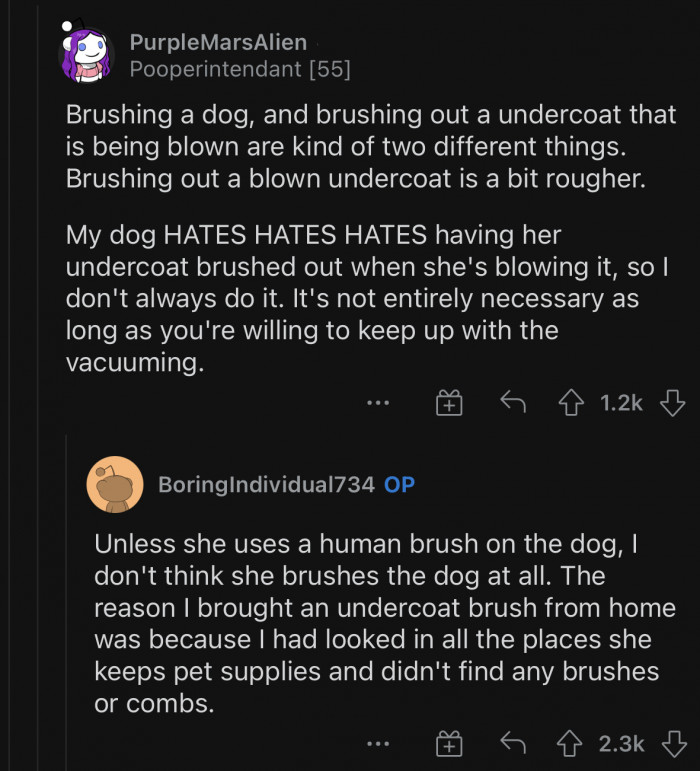 OP couldn't find any brushes in the mom's house.