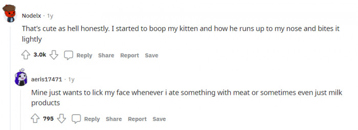 Cats learn quickly, and these cat owners have a lot of similar stories.