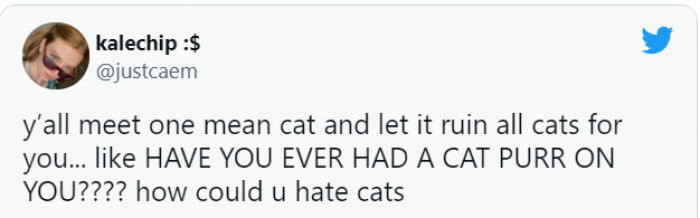 15 Hilarious Tweets About Cat People And Dog People That Are So True