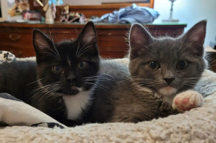 Their love for each other is beyond eternity.