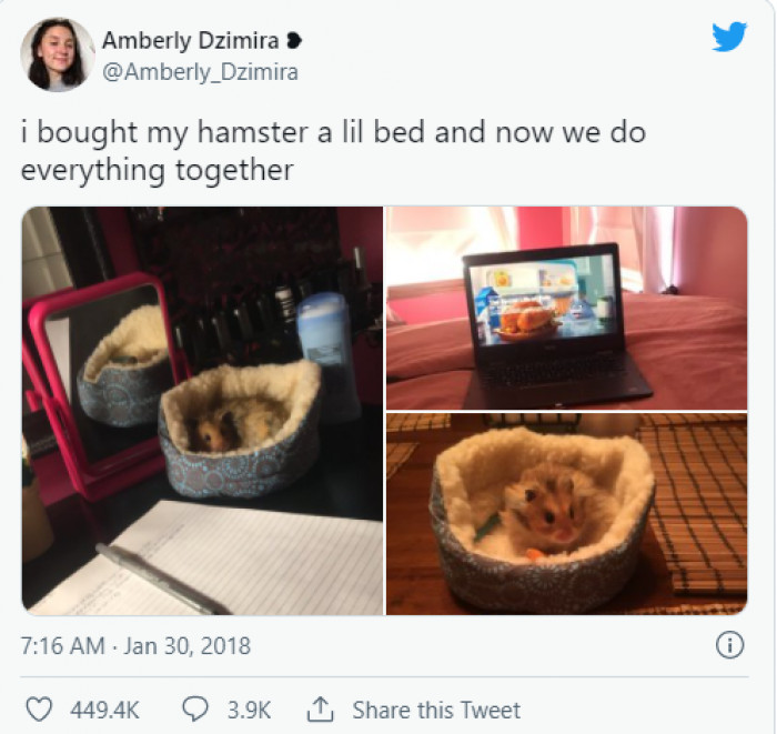 7. This girl gave her hamster a bed to chill in while they watch movies together
