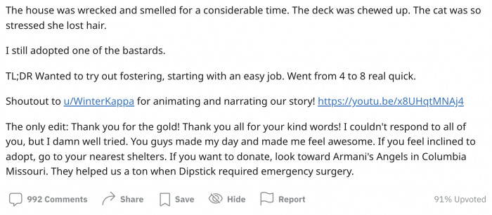 His cat got stressed too.