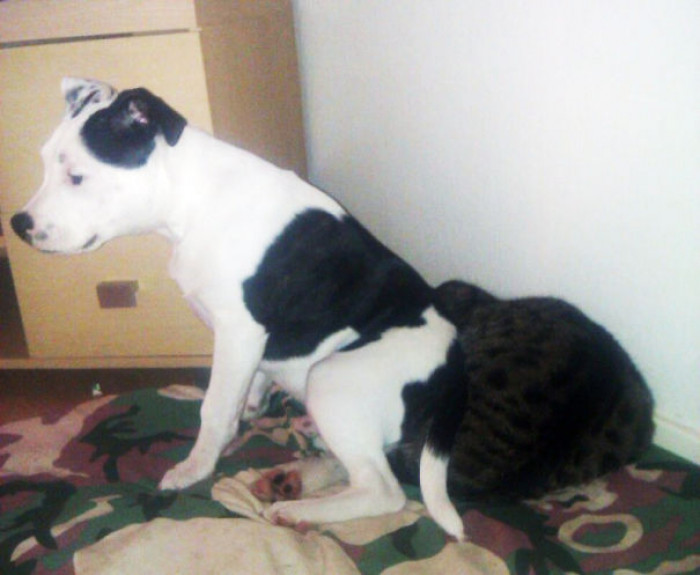 15. This is certainly my new favorite position