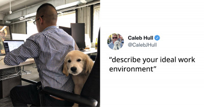 24 Tweets About Animals That Will Surely Brighten Up Your Day