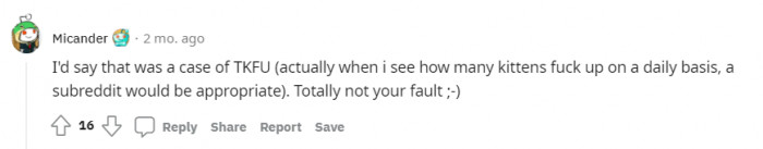 Not a screw-up on OP's part, but definitely on the kittens'.