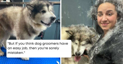 Hilarious Behind-The-Scenes Look Into The Struggles Of A Dog Groomer