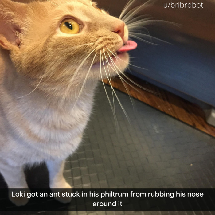 21. Please allow me to share this with you.