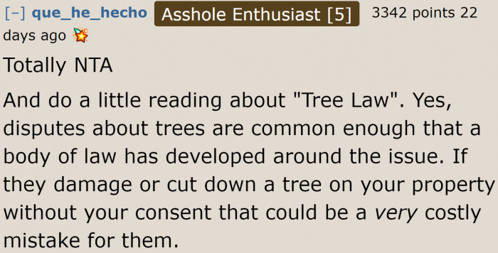 Apparently, there are many disputes about trees that the government had to create laws about them.