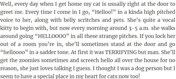 Cat says "helloooo".