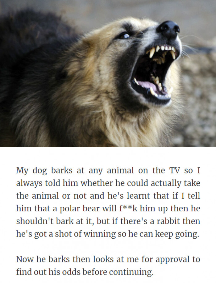 10. Yep, That's the Way to Do It—Get Approval First