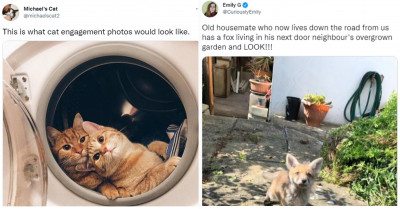 12 Animal Tweets That Prove Just How Ridiculously Wholesome They Can Be
