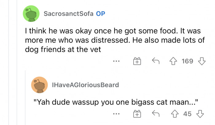 He managed to make friends with some doggos.