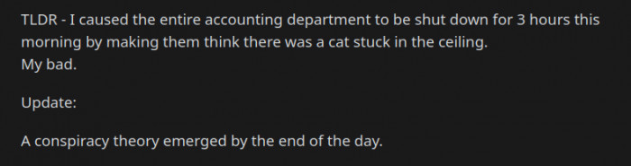 For three hours, the accounting department was shut down while the maintenance team tried to rescue a cat that didn't exist.