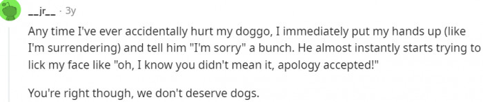 Just surrender and say sorry...