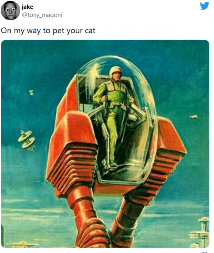 9. Just me heading out, minding my own business, looking out for random cats to pet